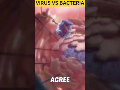 Virus vs bacteria😱🤯|#facts #shorts #viral #virus #bacteria #comparison ﷼+#new #trending
