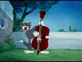Tom's Serenade (4K)
