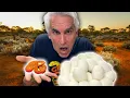 WORLDS SMALLEST PYTHON LAID EGGS - CrittaCam