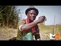 Download Lagu MANOGOLEKU __ HARUSI YA SADO == 0622225271 (MBASHA STUDIO 2021)