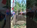 Download Lagu Ada yang pernah naik kuda Sumedang?
