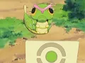 Caterpie Pokedex Entry
