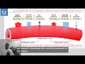 Hydrostatic pressure Vs Oncotic pressure made easy