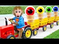 Download Lagu Si Monyet BonBon yang Lucu Menikmati Jelly Warna-warni dan Memetik Semangka di Kebun