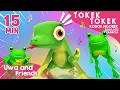 Download Lagu Tokek Tokek, Kodok Ngorek, dan Lagu Lainnya - 15 Menit Lagu Anak Indonesia