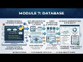 Module 7 - Database
