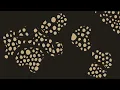 Bedouin - Rise and Fall