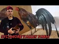 Luke Bresee Sycamore Valley Farm - Big Farm USA Outdoor Breeding Pens Feeding Time 2024 2025