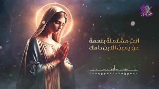 ترنيمة انت أصل الطهر فريق قلب داود 