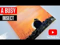 Lagu Tiny Explorer: Acrylic Speed Painting of a Dung Beetle at Dusk!