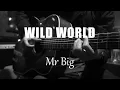 Download Lagu Wild World - Mr Big (Acoustic Karaoke)