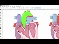 Inkscape for scientists - 26 Obtain and edit free medical artwork from Smart Servier Medical Art
