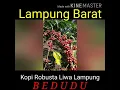 Download Lagu Bumi Sekala Brak  Lampung Barat
