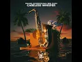 PACANI, Syntheticsax, Ben Plum - Careless Whisper (Saxophone Version)