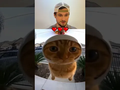Try not to Laugh 🤫😭 | 542 #funny