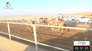 الشوط 7 انذار لـ هزاع حمد محمد الدرعي 4 39 53 شارة الاتحاد 2021 11 11 حقايق الرقيعات 