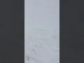 2019 Snow in Sonora CA PART 2