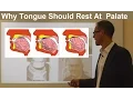 Download Lagu Should Tongue Rest/ Touch at the Palate/ Maxilla/ Roof of the Mouth By Dr Mike Mew