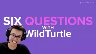 Six Questions with WildTurtle