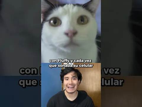 Su gato recordó un juego y terminó siendo un héroe 😮