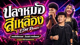 มาใหม่!! ปลาหมอสีเหลือง+วาไรตี้มันส์ๆ คอนเสิร์ต โชครถแห่ x ไทรถแห่ คาเนชั่นเเบนด์