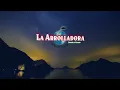 La Arrolladora Banda El Limón De René Camacho - El Hubiera No Existe (Lyric Video)