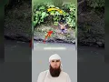 Download Lagu عندما يكتب لك الله النجاة، فلن يؤذيك شيء👍😱.#لايك #اكسبلور #shorts