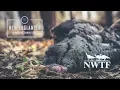 New Englander - A National Wild Turkey Federation Story