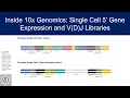 Inside 10x Genomics Single Cell 5 Gene Expression and V D J Libraries
