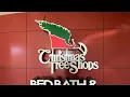 Christmas Tree Store tour