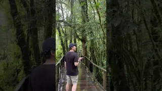 การเดินเป็นประโยชน์ต่อสุขภาพอย่างไรบ้าง