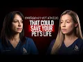 Emergency Vet Advice That Could Save Your Pet s Life