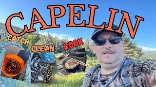 Capelin on the Beach - Catch Clean and Cook at the Cabin