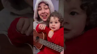 القطة المشمشية دندنها