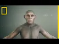 Human Origins 101 National Geographic