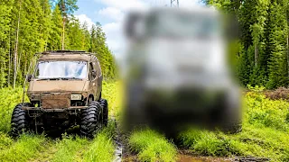 Лютая газель vs Илинг шоу и что скрывает старшее поколение....