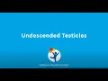 Lagu What are Undescended Testicles?