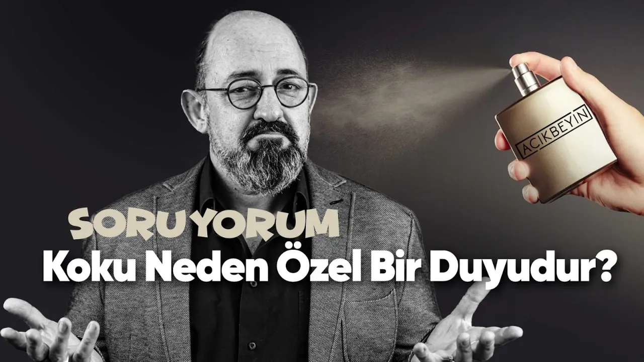 SoruYorum - Koku Neden Özel Bir Duyudur?