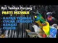 Download Lagu 🔴MASTERAN BURUNG MURAI BATU PALING DI CARI || GAMPANG MASUK TERBARU 2025