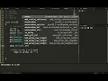S02 STL vector string iterator
