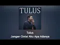 Tulus - Jangan Cintai Aku Apa Adanya (Official Audio)