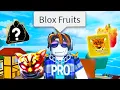 Download Lagu The Roblox Blox Fruits Experience Compilation