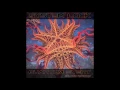 System Lock - Pleiadian Woman