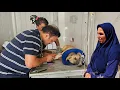 Download Lagu Onze ergste nachtmerrie is werkelijkheid geworden: e plotselinge en vreselijke ziekte van onze puppy