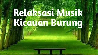 Download Relaksasi Instrumen Suara alam || Kicauan Burung MP3