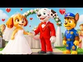 Download Lagu ¿Skye se casa? ¿Qué pasará después? PAW Patrol en Español | Rainbow 3