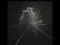 Mesmerizing Particle Burst Animation in Three js