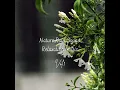 Calming Daybreak Rain Sound