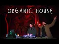 Download Lagu Deep Organic House Forest Mix // Hermanez, Kyotto, PROFF \u0026 more!