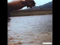 Just - Amtrac